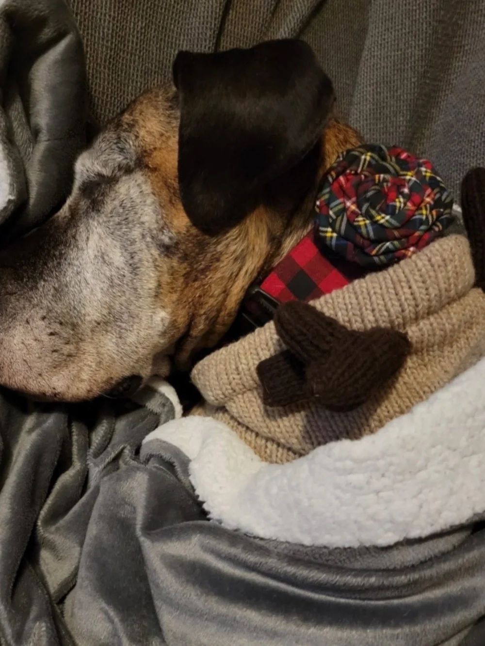 Chillydog Wool Dog Sweater. Hooded. Moose antlers. XXL